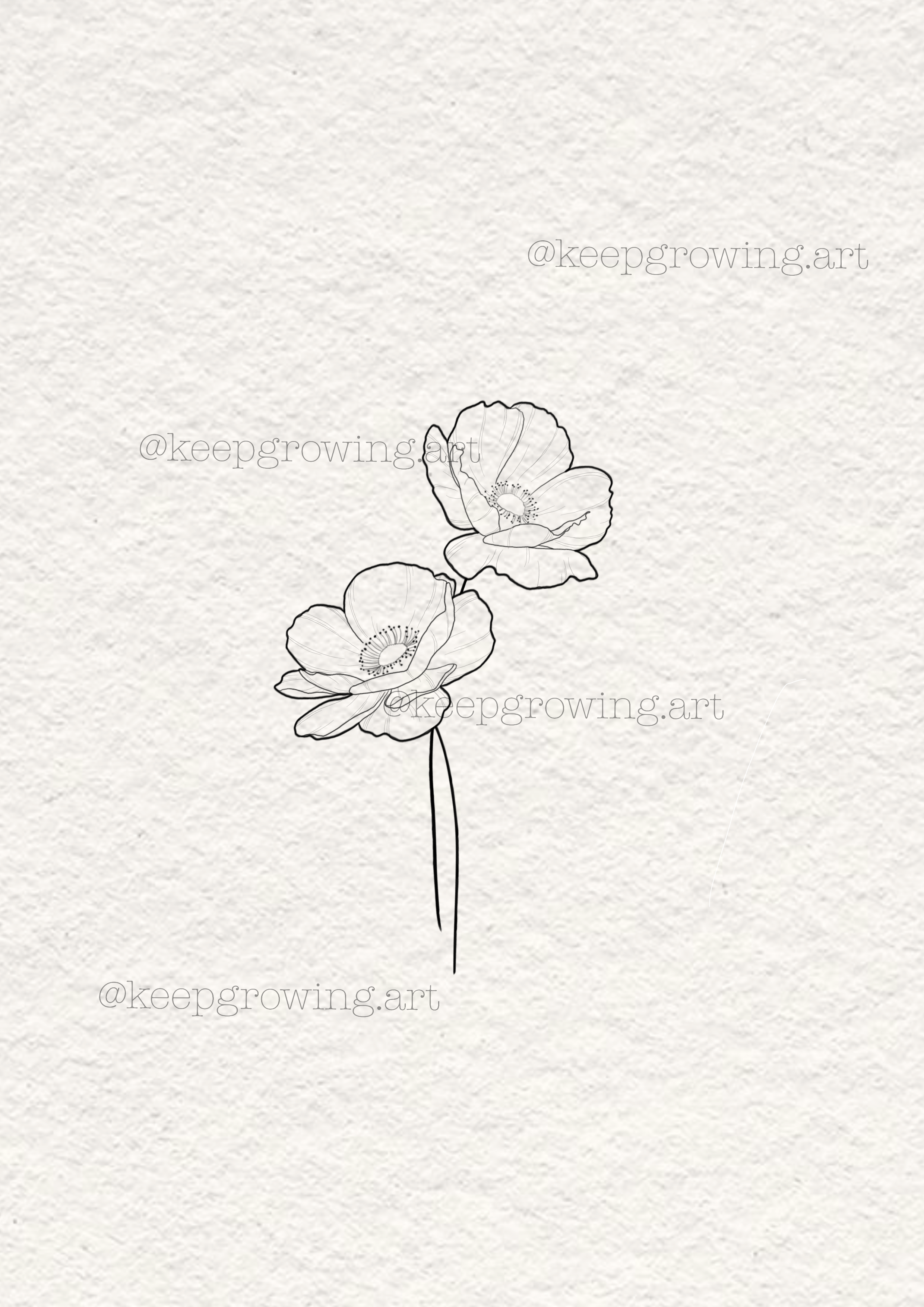 11. adventstürchen: mohnblume tattoo design