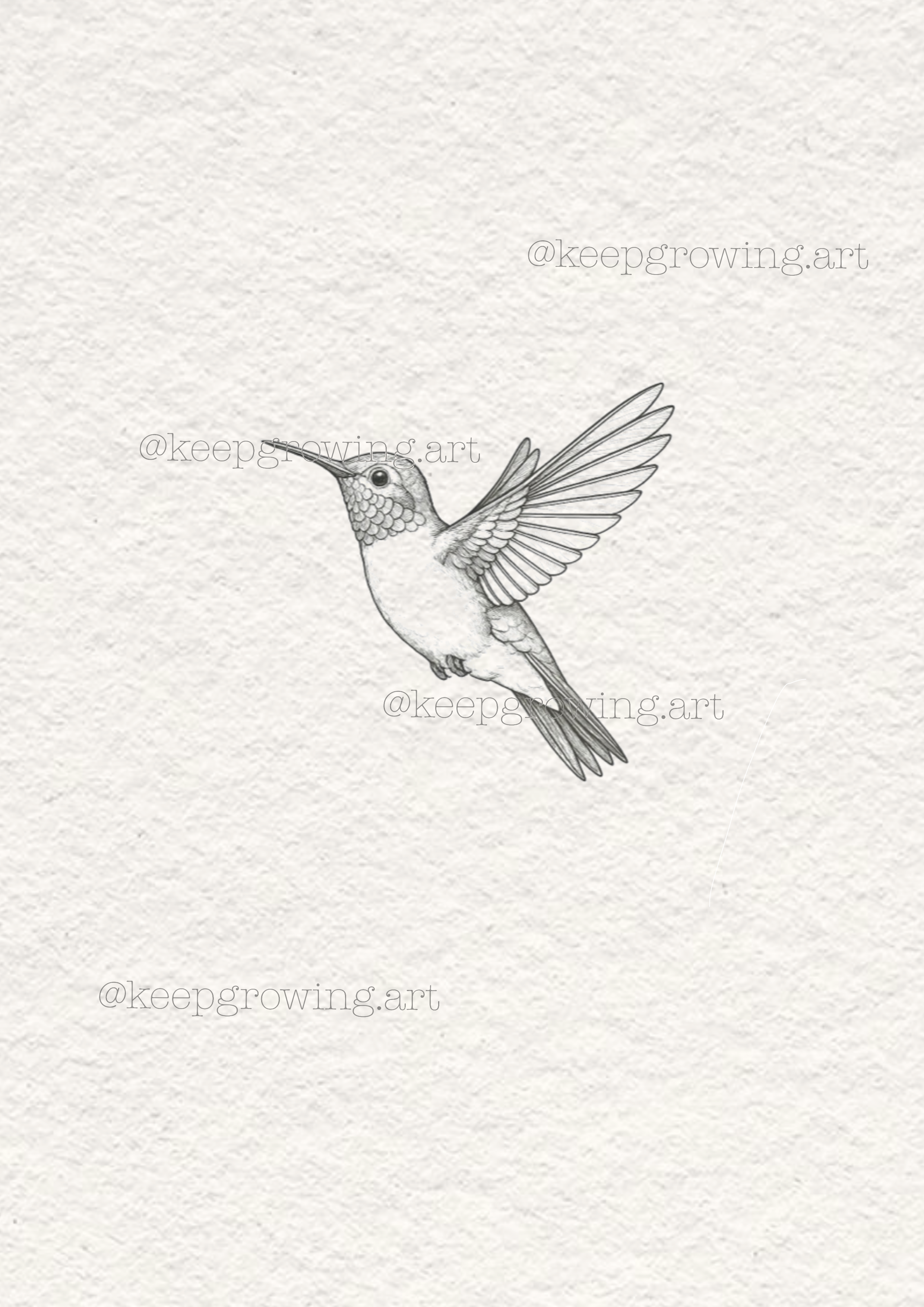 5.adventstürchen: kolibri tattoo motiv